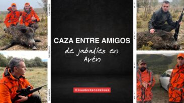 Caza entre amigos, de jabalíes en Arén | Cuaderno de Caza